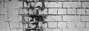 We did not find results for: The Dangers Of Black Mold In Basements