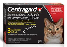 In cats, there is no approved medical treatment for heartworm disease. Centragard Innovative Internal Parasite Protection For Cats Launched In The U S Boehringer Ingelheim Com