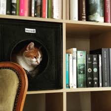 Lit De Chat De Chat De Caverne De Chat De Chat Comme Panier D Etagere De Feutre Approprie Pour Ikea Expedit Et Kallax Felt Cat Cat Cube Cat Cave