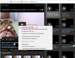 Videos yandex browser video downloader. How To Record Video From Yandex Several Great Ways To Download From Yandex Video