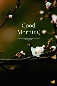 Á… Top 55 Good Morning Images Hd Morning Pictures Wishes Good morning images for whatsapp, free download hd wallpaper, pictures, photos of good morning good morning images for. á… top 55 good morning images hd