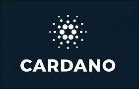 Choosing whether to invest in ethereum or buy cardano in 2021 will inevitably depend on your investment goals. Be Your Wealth Earn Save Invest