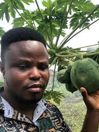 Pawpaw stew ❤️ Its very nice with alot of benefits Kindly follow my page to  learn more about herbs and thier benefits for free Dr Ebenezer Martey