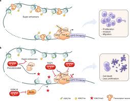 The incidence of childhood cancers has been steadily rising for several decades, to such drawing on the disparate fields of genetics, bioinformatics and epidemiology, the harvard authors describe autism. Developmental Origins And Emerging Therapeutic Opportunities For Childhood Cancer Nature Medicine