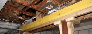 Description:deepdale pest control co is a construction company located in po box 448, huntington sta, new york, united states. Lasiniai RitinÄ—lis Kostiumai Termite Damage Repair Yenanchen Com