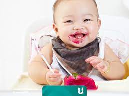 Moms bisa mengikuti penyajian buah naga untuk bayi berikut. Tips Olah Buah Naga Jadi Makanan Bayi Kumparan Com