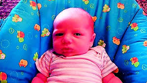 Chandler Max McGehee