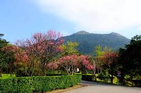 壽山國家自然公園 shoushan national natural park. å°åŒ—æ™¯é»žæŽ¨è–¦ é™½æ˜Žå±±åœ‹å®¶å…¬åœ'æº«æ³‰æ³¡æ¹¯è³žæ«»åŠæ—¥éŠ Kkday