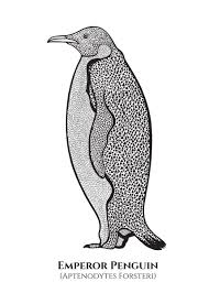 Check spelling or type a new query. Emperor Penguin With Names Poster By Greenpaladin Displate