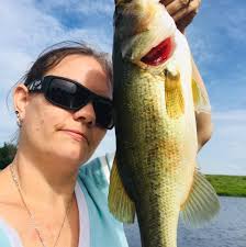 Female husky found in Goldens Bridge, NY