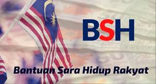 Untuk update, tekan kemaskini permohonan. Bsh 2020 Kemaskini Syarat Terbaru Bantuan Sara Hidup Rakyat Bshr 2020 Bpn 2021 Kemaskini