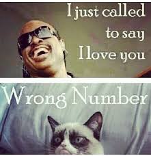 Stevie Wonder I Just Called To Say I Love You Meme Funny Grumpy Cat Stevie Wonder Meme Grumpy Cat Humor Grumpy Cat Stevie Wonder Meme