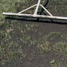 【leveling lawn easy and fun】the lawn level rake measured 17*10 could level soil and grass better and more quickly than landscaping rake, keep the lawn flat and beautiful, and save your time and back. Renovating The Lawn Finegardening