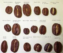Coffee Bean Types Makanan Makanan Dan Minuman Resep Kopi