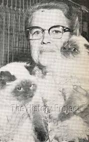 The History Project: Persian/Angora/Longhair: Colorpoint