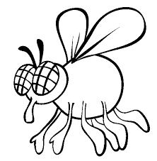 Home/insects coloring sheets/fly coloring page. Fly Coloring Page Animals Town Free Fly Color Sheet