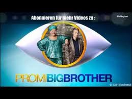 Die ersten neun kandidaten stehen fest, zu allen anderen gibt es wilde spekulationen. Promi Big Brother 2013 Die Kandidaten Deutschland Germany Youtube