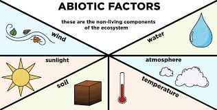 Abiotic Components Of Ecosystems Definition Examples Expii