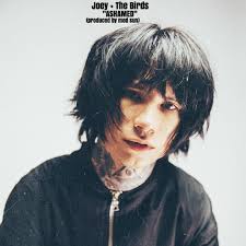 Stream Joey + The Birds ~ ASHAMED by NEW HIPPYS