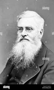 Alfred russel wallace hi-res stock photography and images