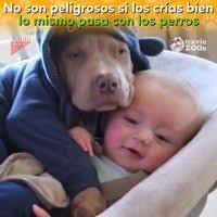 Vilma Rojas (vilmarojas886)