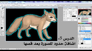 الدرس 5 اضافة حدود للصورة بعد قصها Adobe Photoshop Youtube