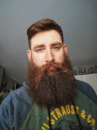 Reddit The Front Page Of The Internet In 2020 Beard No Mustache Beard Love Long Hair Beard