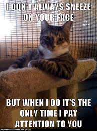 Animal Memes The Most Interesting Cat In The World You Want Attention Get A Dog I Can Has Cheezburger