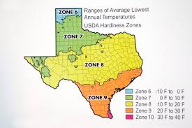 Check plant tags before you buy; Week 6 With Neil Sperry Consider Hardiness When Choosing New Plants