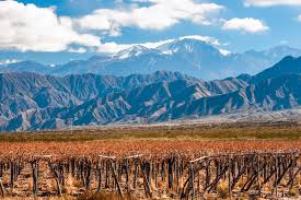 It is also near the aconcagua, the highest mountain outside of the himalayas. Guide To The Mendoza Wine Region In Argentina