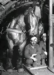 Image result for Dark Gray 1972 Caloric