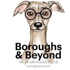 Greyhound pet adoption fl se, inc.* email: Greyhound Pet Adoption Maryland Home Facebook