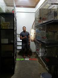 Minimum hanging height of 25 high (with 2 canopy). Nolram Mini Aviary Home Facebook