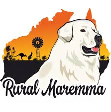 We sell a very limited number of pups for breeding privileges to select homes only. Maremma Sheepdog Breeders Australia Maremma Sheepdog Info Puppies