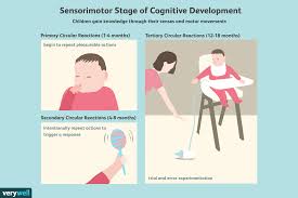 the sensorimotor stage of cognitive development