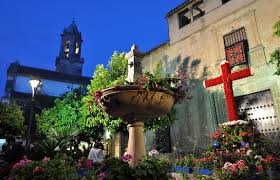 Maybe you would like to learn more about one of these? Cordoba 24 Maycross Fest 2021