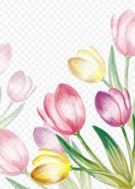 Water Painted Tulip Vector Png 1121x1559px Tulip Blossom