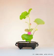 池坊 蓮花 七種傳 ikebana plants flowers