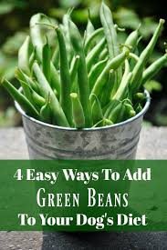 4 Easy Ways To Add Green Beans To Your Dog S Diet My Brown Newfies Dog Diet Dog Nutrition Dog Food Recipes