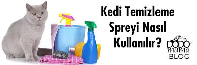 Kedi Temizleme Spreyi Nasil Kullanilir