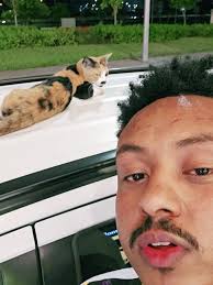 Irish Father of the Bride Speech