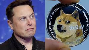 Musk indicates that dogecoin's position as the future currency of the world is down to the will of the people. Elon Musk Elon Musk Warns People To Invest With Caution As Dogecoin Rallies Ahead Of His Snl Appearance Tesla Bitcoin