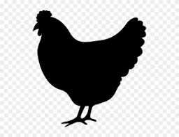 Chicken Icon Clipart Full Size Clipart 598375 Pinclipart 17 images of chicken icon. chicken icon clipart full size