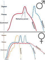 A Beginners Guide To Female Orgasms The Hook Up Triple J