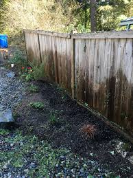 Poison ivy has a reputation as an annoying plant that causes a red, itchy rash wherever it touches your bare skin. Sun In Seattle Quick Get Out And Start Cleaning Beds This Was All Ivy Maybe I Ll Mulch When It S Sunny Again In Like 4 Months Gardening