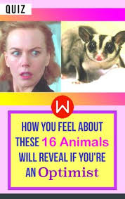 Quiz How You Feel About These 16 Animals Will Reveal If You Re An Optimist How Are You Feeling Quiz Personality Quizzes