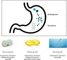 Frontiers Levothyroxine Therapy In Gastric Malabsorptive Disorders Endocrinology