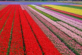 Check spelling or type a new query. The Best City Parks Around The World