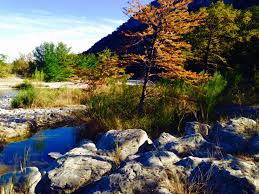Our list includes popular spots like cape disappointment and olympic national cabins are located in a forested area with views of saratoga passage. Texas State Parks With Lodges And Cabins