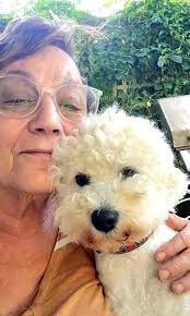 New fan of The Gilded Age series